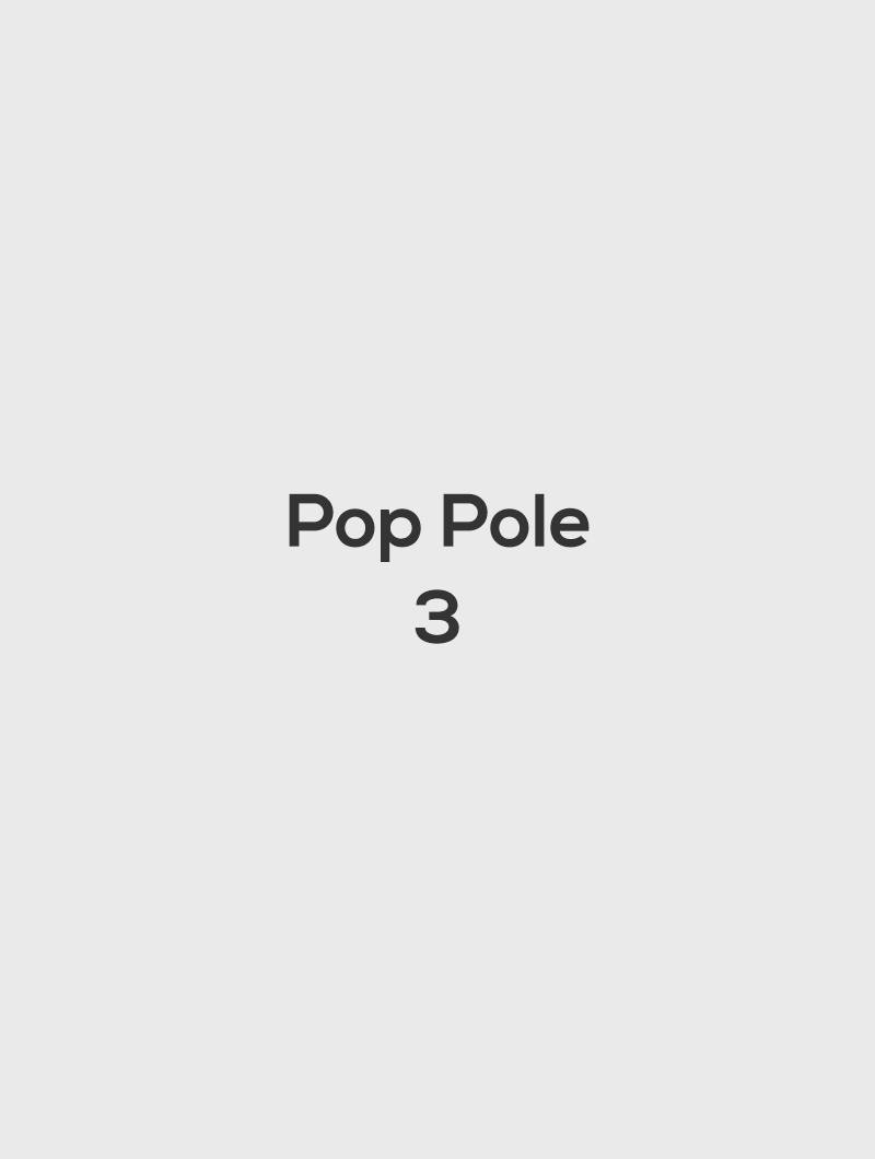 Popup Backstop 21x11 Pole #3