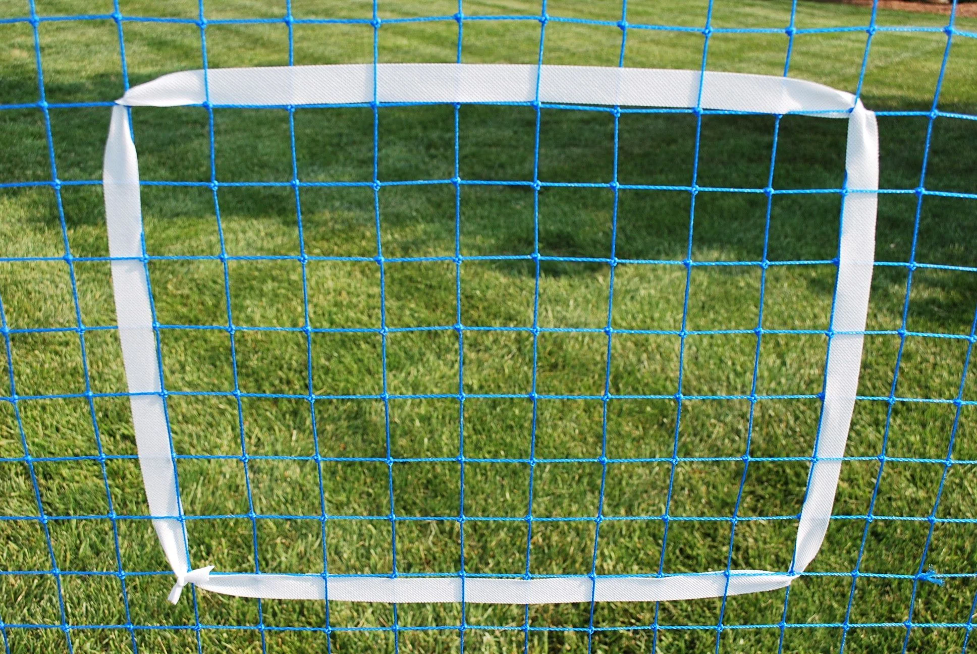 Replacement Net & Bungees for the Pro 72 Rebounder - Image 4